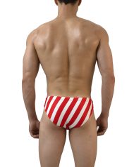 Peppermint Candy Red White - Hình ảnh 2